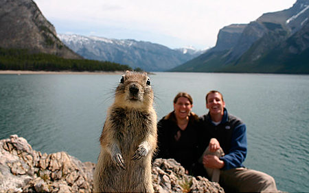 Squirrel Invades Photo